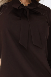 Blusa castanha de mangas compridas BeStylish
